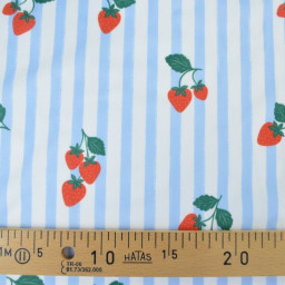 Pul contact alimentaire motifs rayures bleues et fraises - motif exclusif