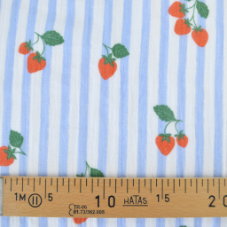 Tissu double gaze de coton Gariguette motif fraises et rayures bleues