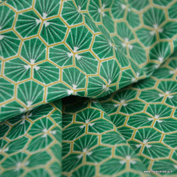 Tissu coton Riad Enduit coloris Vert