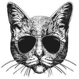 Transfert textile Thermocollant motif chat à lunettes