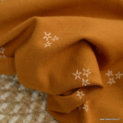 Tissu jersey motifs étoiles fond écureuil - Oeko tex