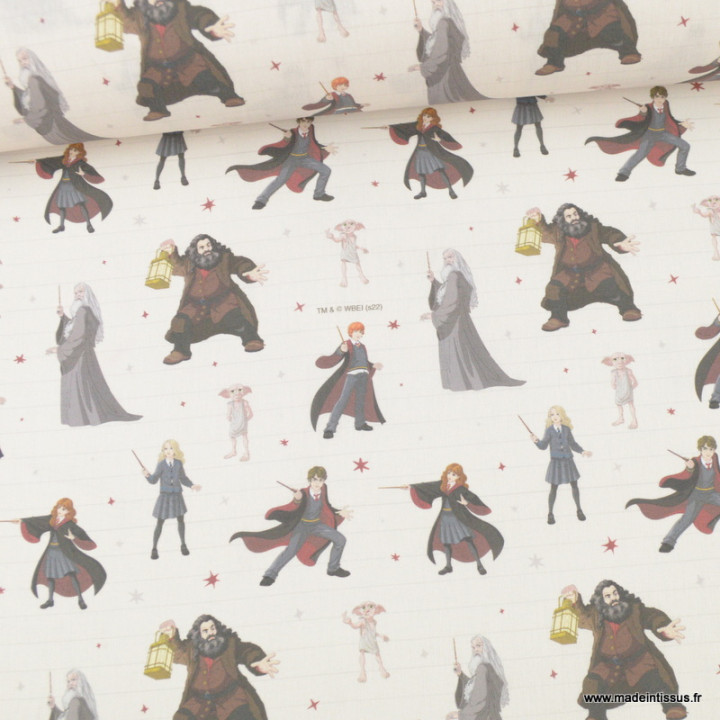 Tissu Harry Potter en coton motif Hagrid, Dumbledore, Hermione et Dobby