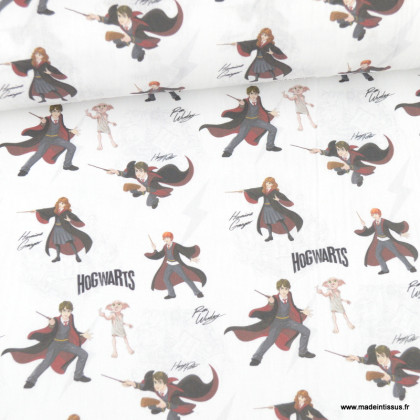 Tissu Harry Potter et ses amis : Hermione, Ron, Dobby sur fond blanc