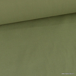 Tissu Velours cotelé 500 raies coloris vert fougère - oeko tex