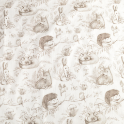 Double gaze animaux de la foret fond blanc