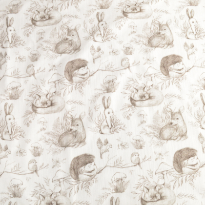 Double gaze animaux de la foret fond blanc