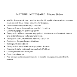 Patron pochette peluche Triton - Sirène - Les Enchantées