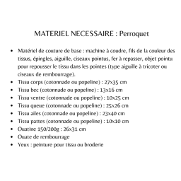 Patron pochette Perroquet - Les Enchantées