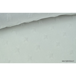 Tissu minky ETOILES BLANC x50cm