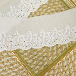 Anglaise blanche Alphonsine - 70 mm