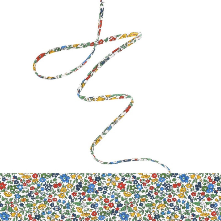 Ruban Spaghetti Liberty Ava multicolore - 4mm