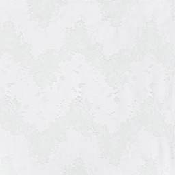 Tissu Dentelle Blanche - Bernie